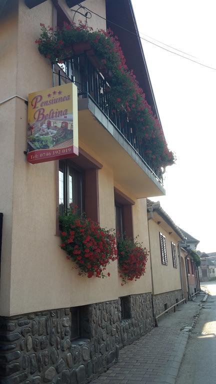 Pensiunea Beltina Răşinari Extérieur photo